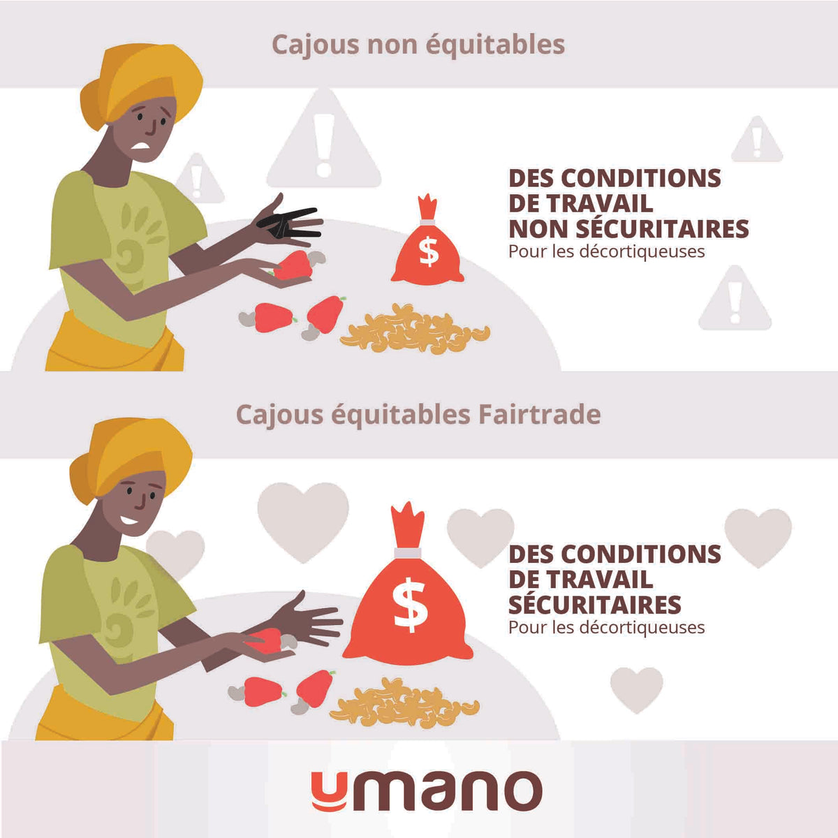 Pourquoi choisir des noix de cajou équitables?