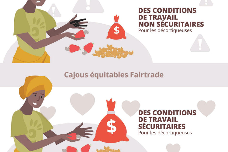 Pourquoi choisir des noix de cajou équitables?