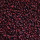 Whole cranberries dried with cane sugar - organic