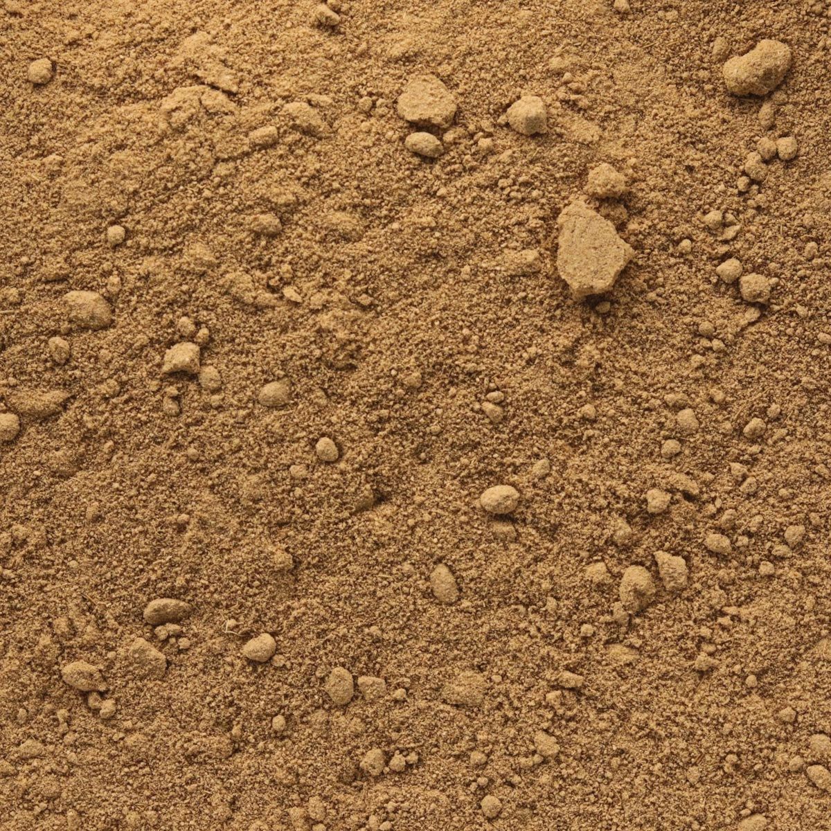 Ground ginger - organic / fair trade