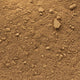 Ground ginger - organic / fair trade