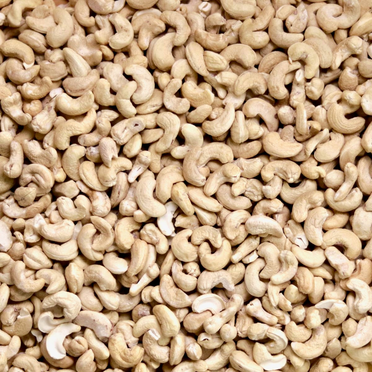 Pourquoi les noix de cajou Fairtrade sont-elles plus chères?