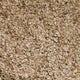 Oat flakes from Quebec - organic